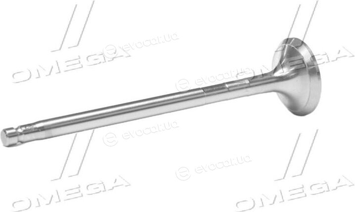 Gunes 6453