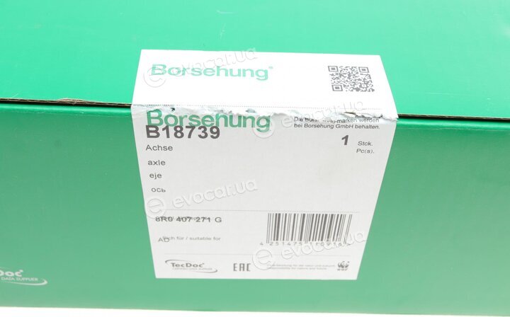 Borsehung B18739