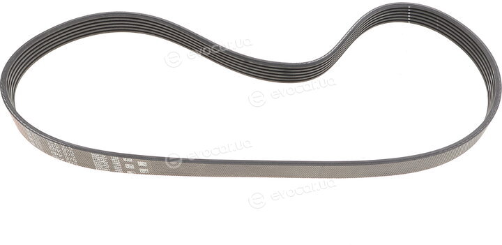 Gates K016PK975