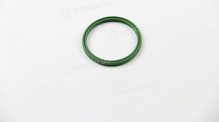 Rapro R25610