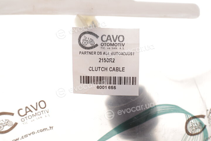 Cavo 6001 655