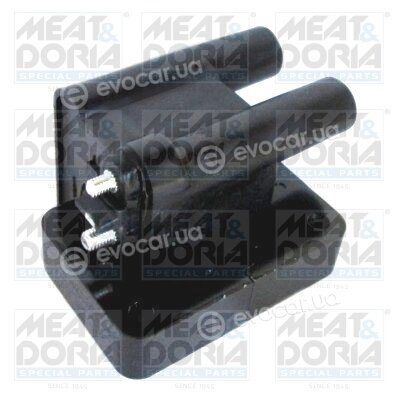 Meat & Doria 10619