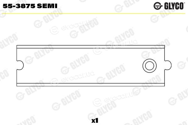 Glyco 55-3875 SEMI