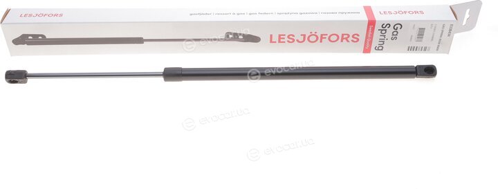 Lesjofors 8108434