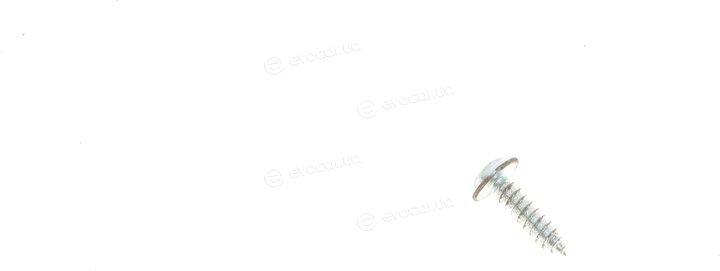 Solgy 112021