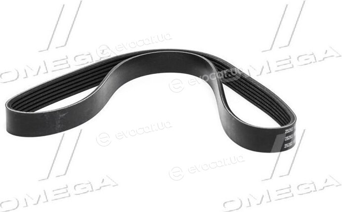 Dayco 6PK1004K