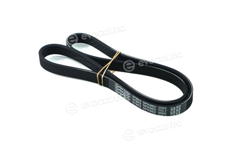Dayco 5PK962