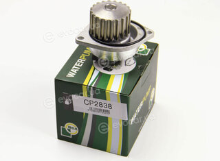 BGA CP2838