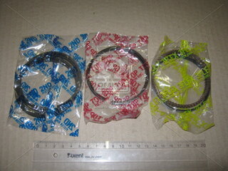 TP 41001-025