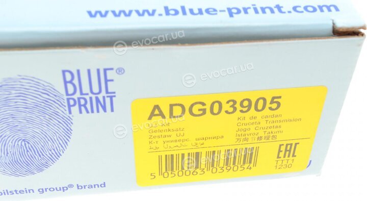 Blue Print ADG03905