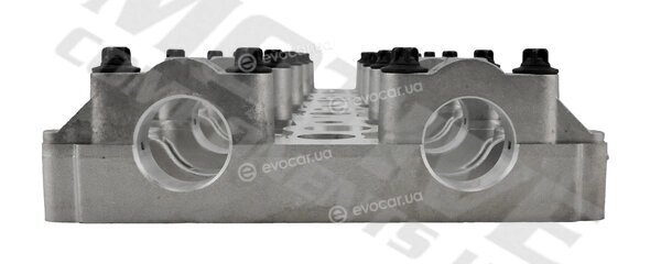 Motive CAMC11