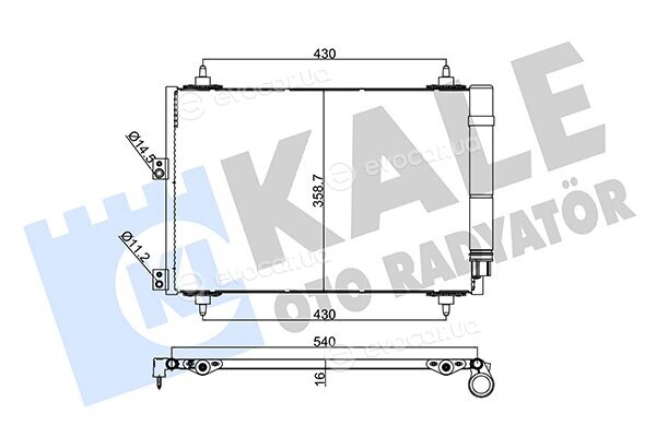 Kale 242900