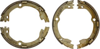 Delphi LS2119