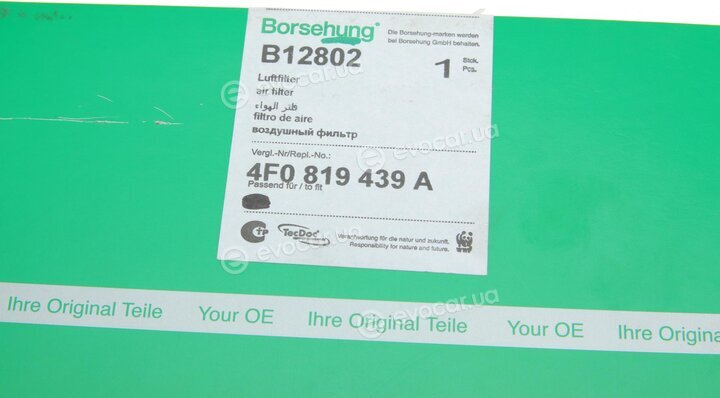 Borsehung B12802