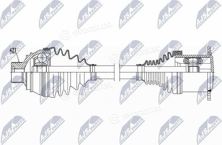 NTY NPW-AU-011
