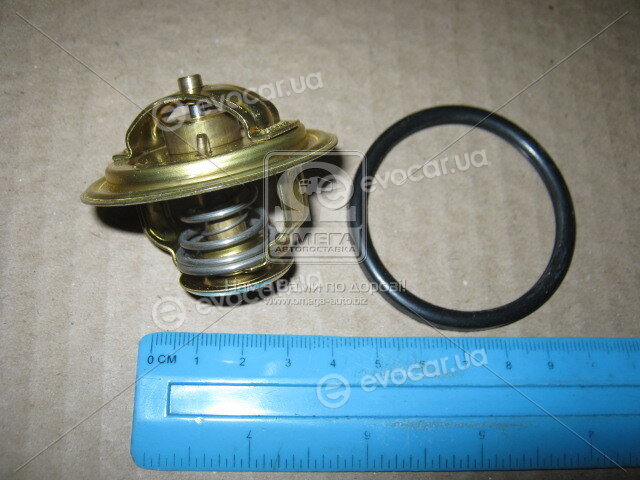 Wahler / BorgWarner 4008.79D