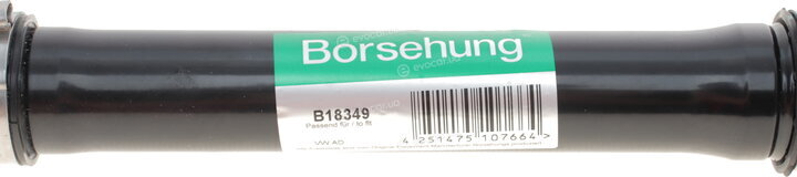 Borsehung B18349