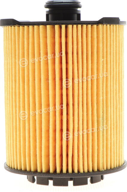 Hengst E217H D310