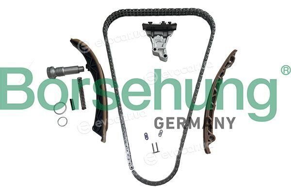 Borsehung B13294