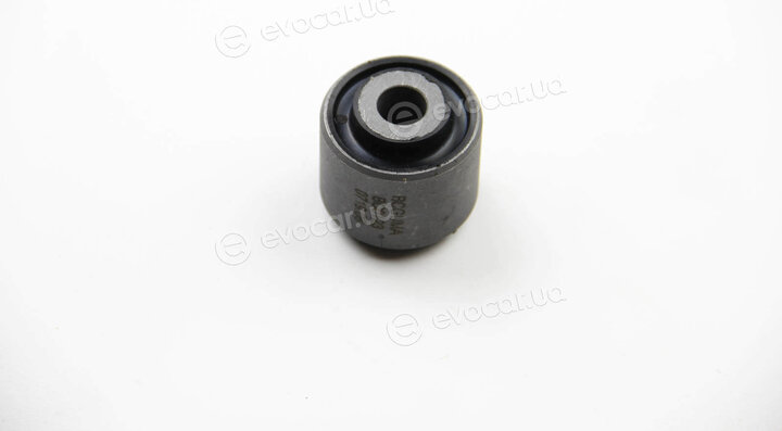 BC Guma 0123