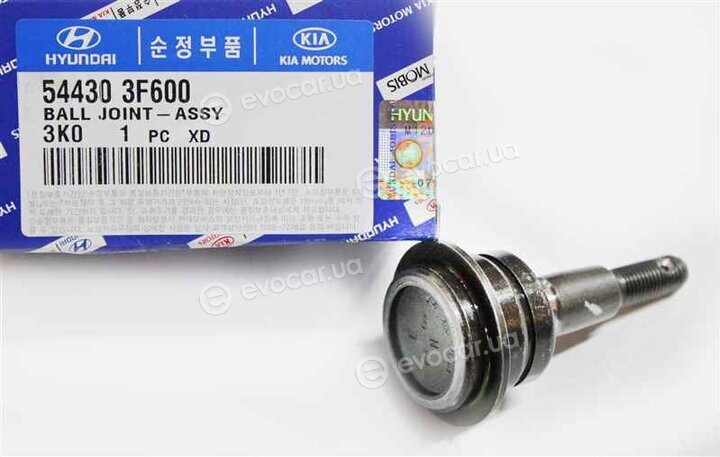 Kia / Hyundai 544303F600