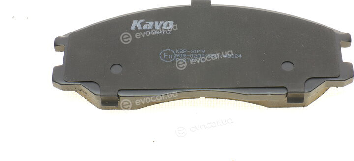 Kavo KBP-3019