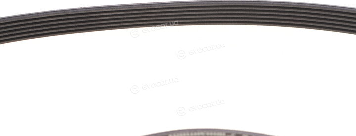Continental 6PK1050K2