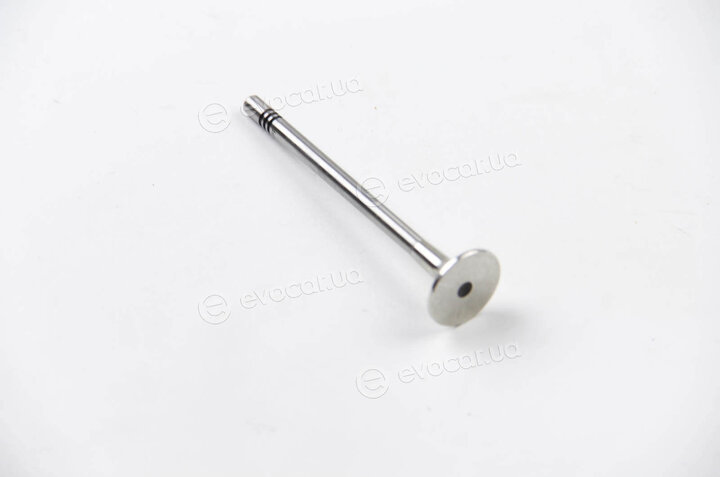 BGA V164541