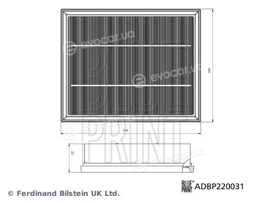 Blue Print ADBP220031