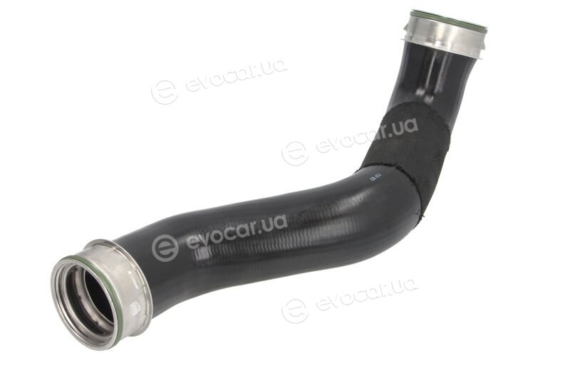 Thermotec DCM081TT