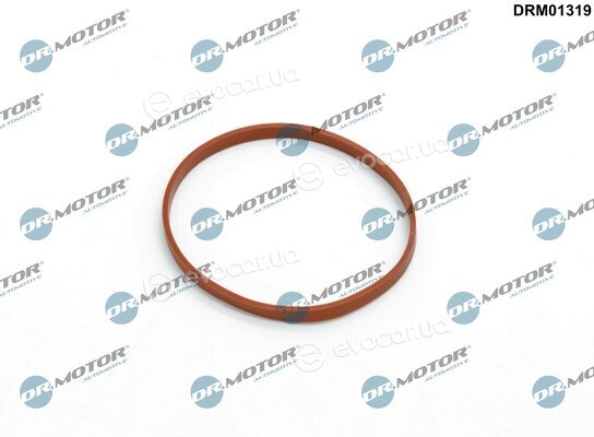 Dr. Motor DRM01319