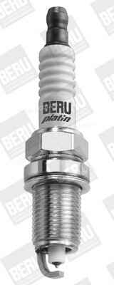 Beru Z301