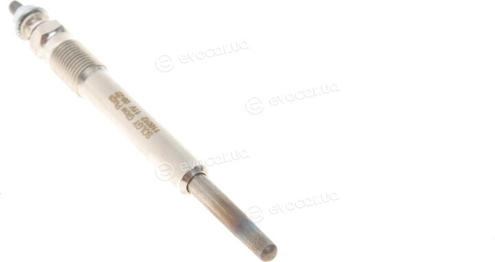 Solgy 116012