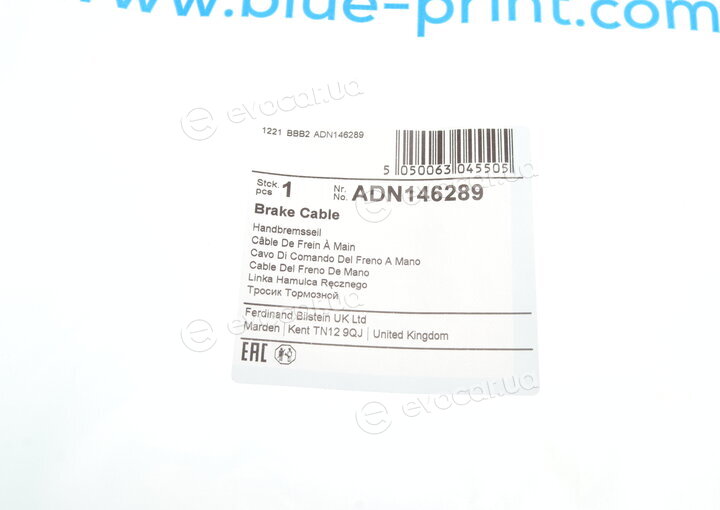 Blue Print ADN146289