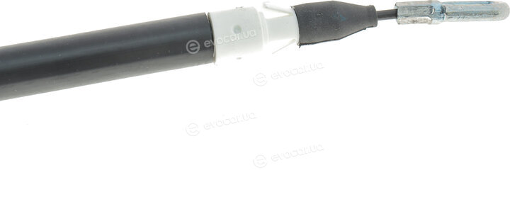 Solgy 219056