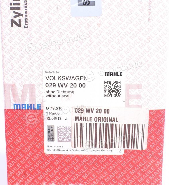 Mahle 029 WV 20 00