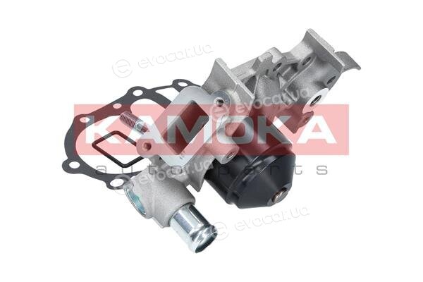 Kamoka T0242
