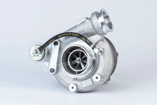 BorgWarner 12709880013
