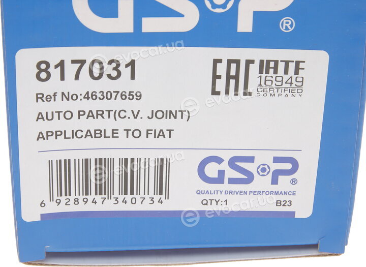 GSP 817031