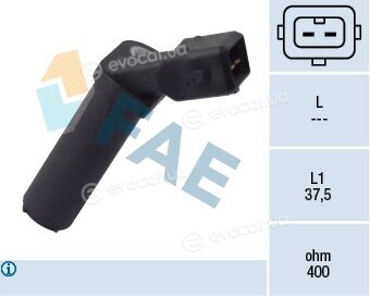 FAE 79094