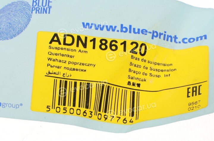 Blue Print ADN186120