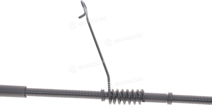 DP BC 24004 TUR