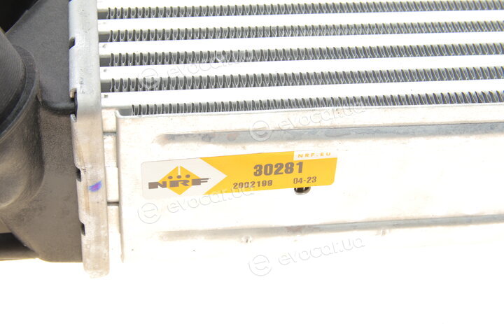 NRF 30281