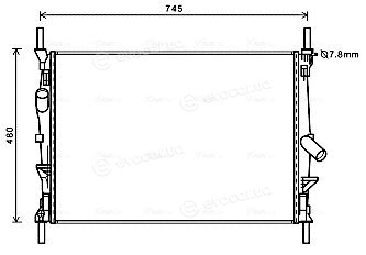 AVA FDA2589