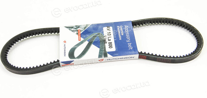 Hutchinson AV 10 La 800