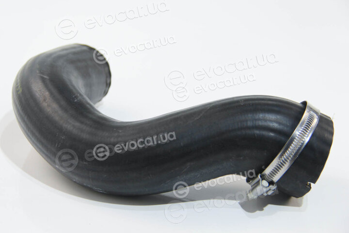 Rapro R25554