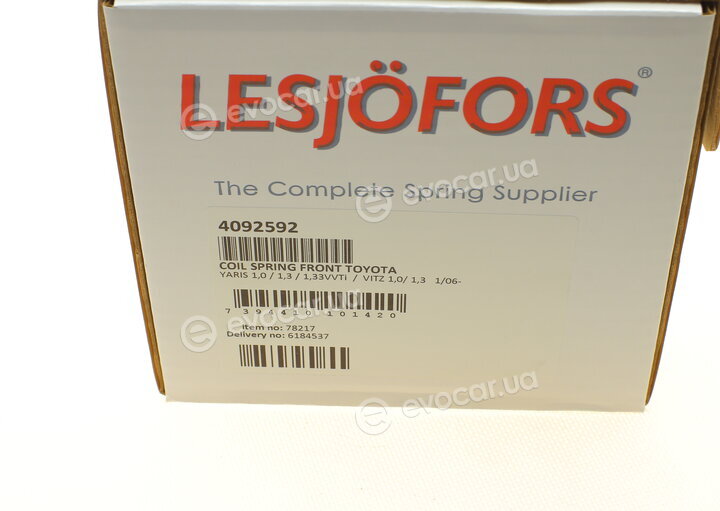 Lesjofors 4092592