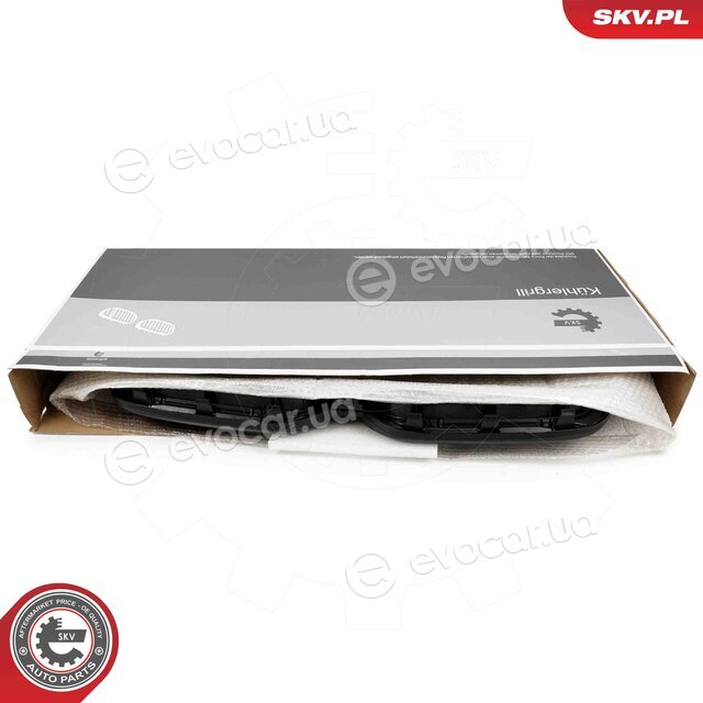 SKV 66SKV300