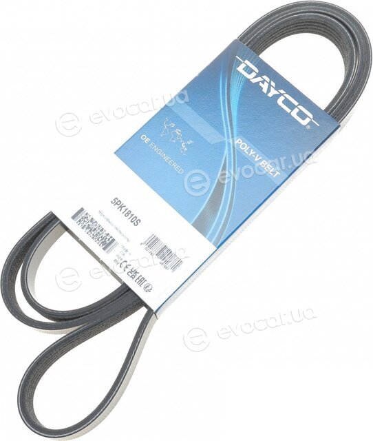 Dayco 5PK1810S