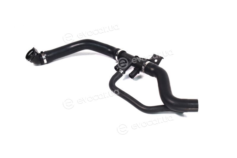 Sasic 3400206